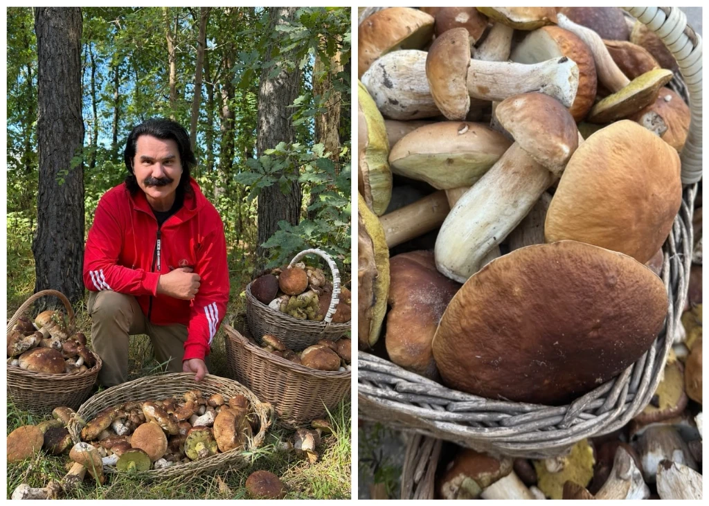 Павло Зібров сходив по гриби з кумом і показав свій величезний урожай